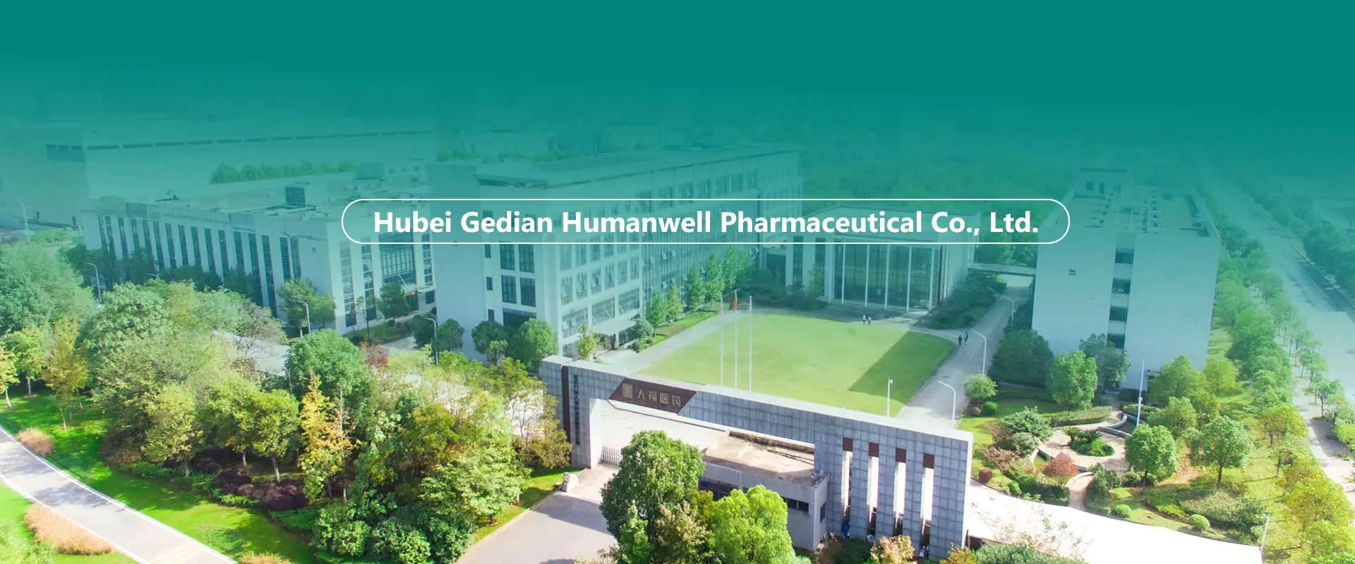 API China, Perantaraan, Kilang Formulasi