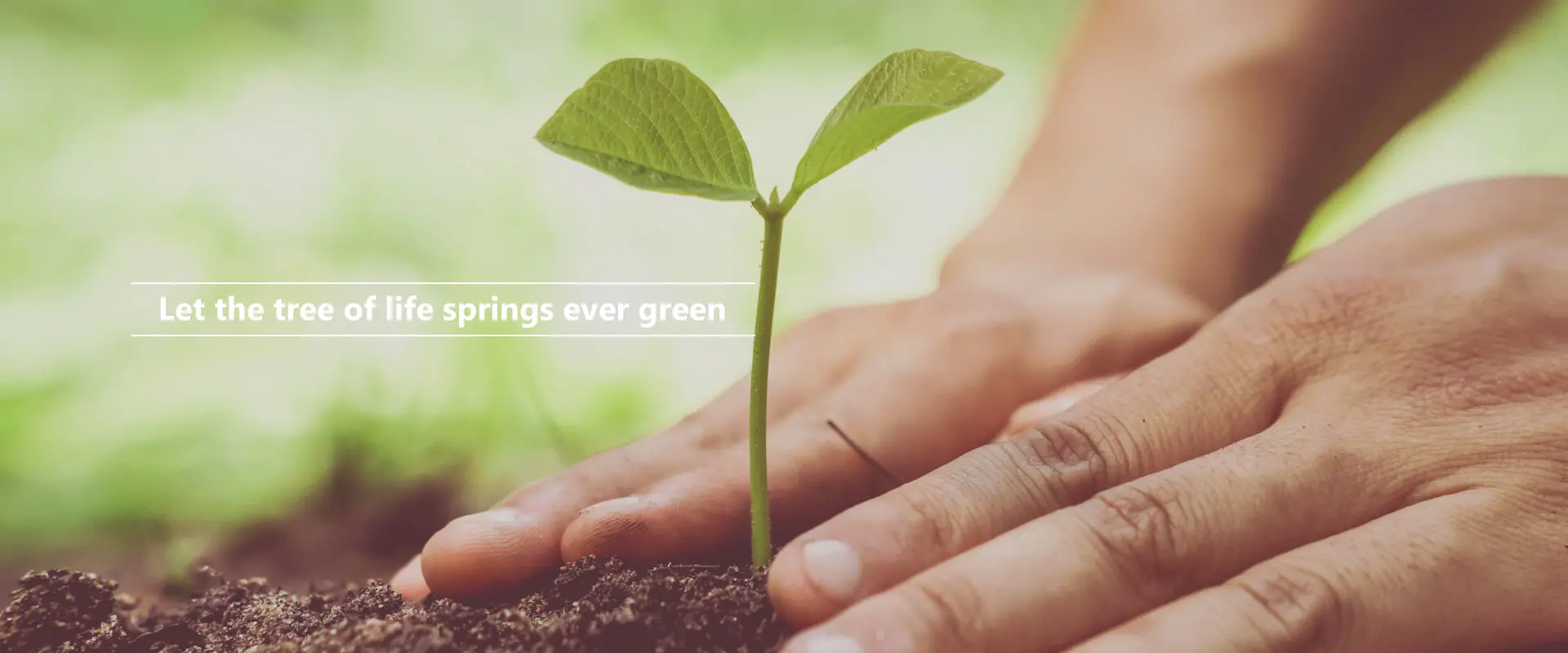 Biarlah pohon kehidupan bertunas sentiasa hijau